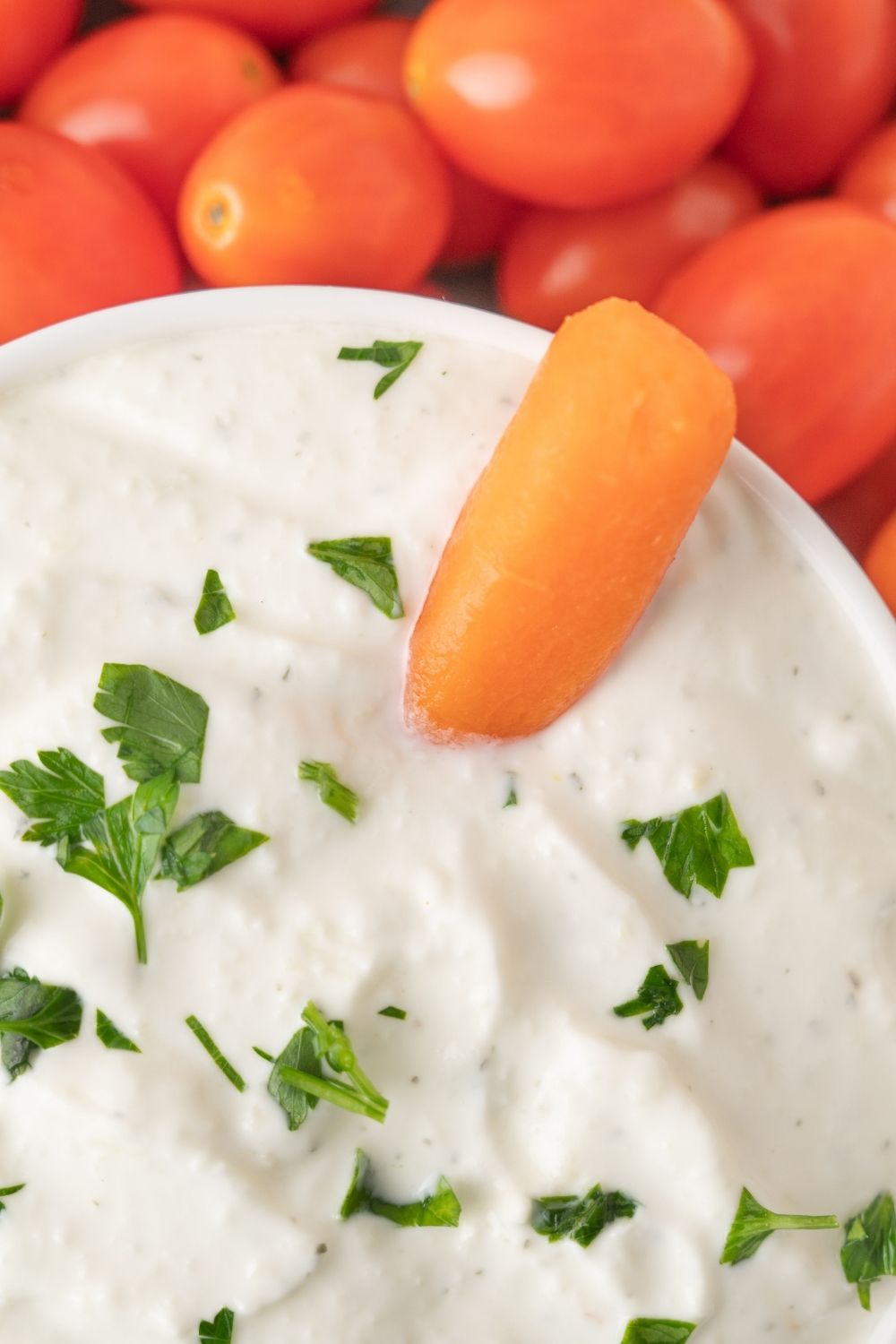 Garlic Dip