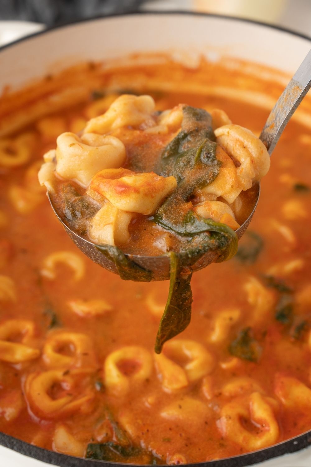 Tortellini Soup