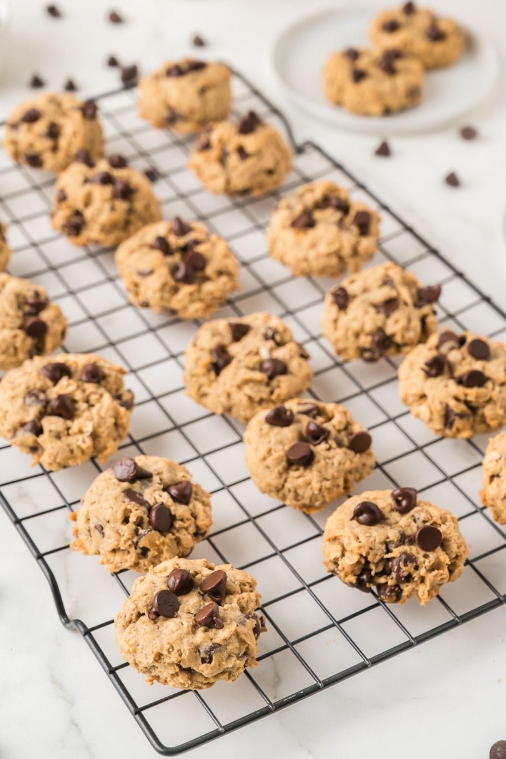 Oatmeal Chocolate Chip Cookies