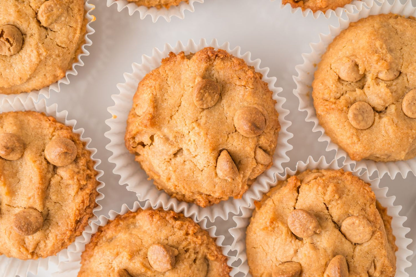 Peanut Butter Muffins