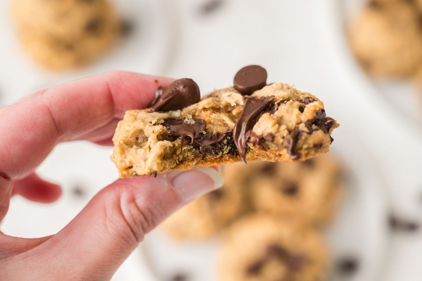 Oatmeal Chocolate Chip Cookies