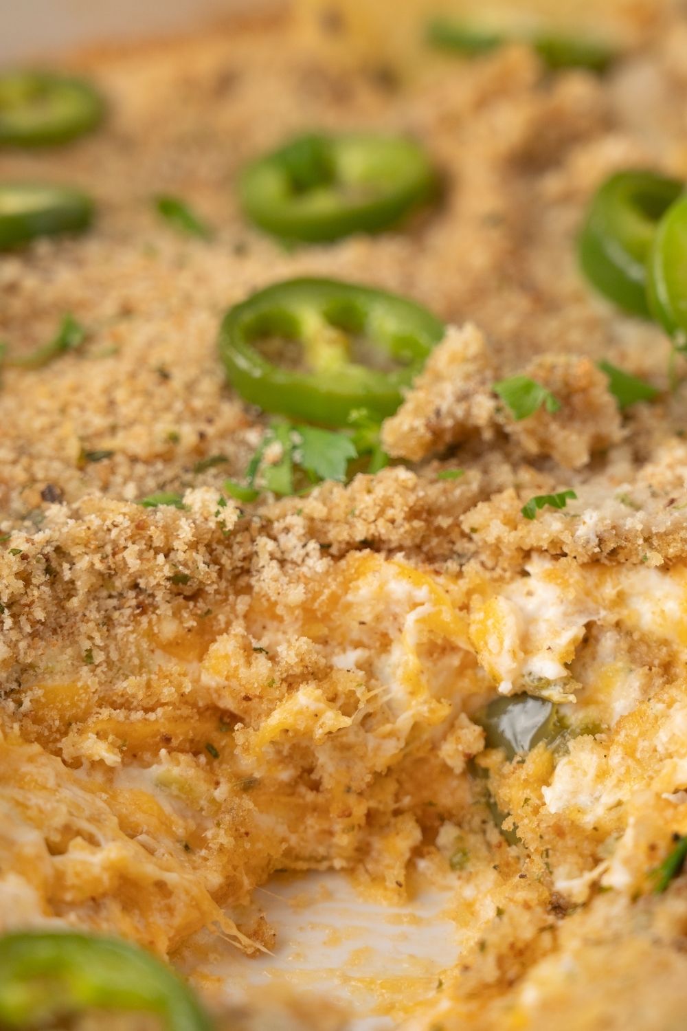 Jalapeno Popper Dip