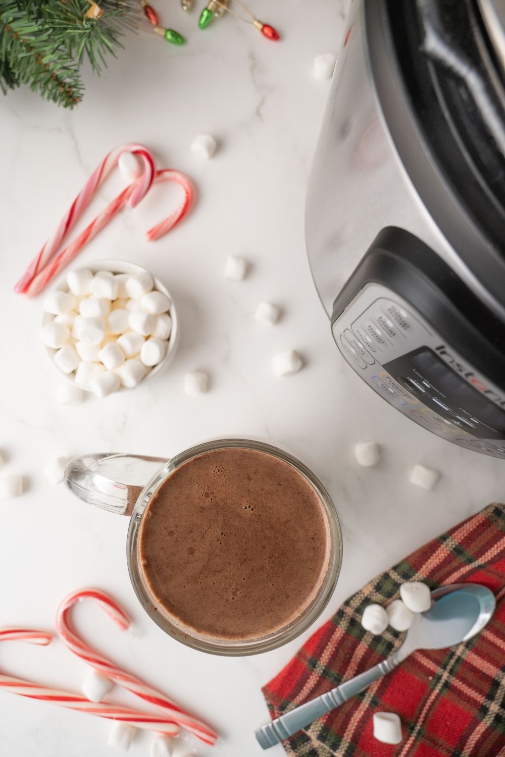 Instant Pot Hot Chocolate