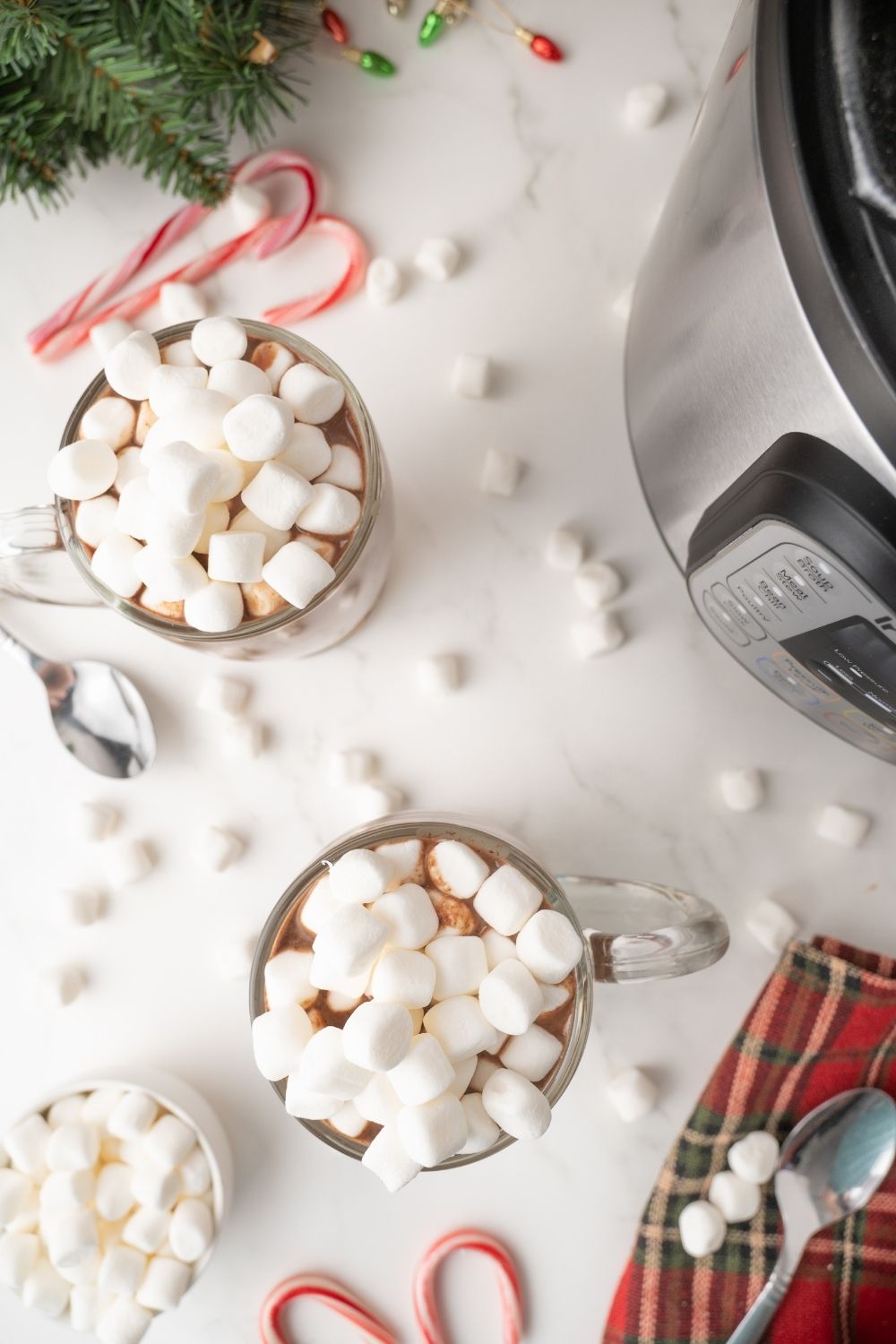 Instant Pot Hot Chocolate