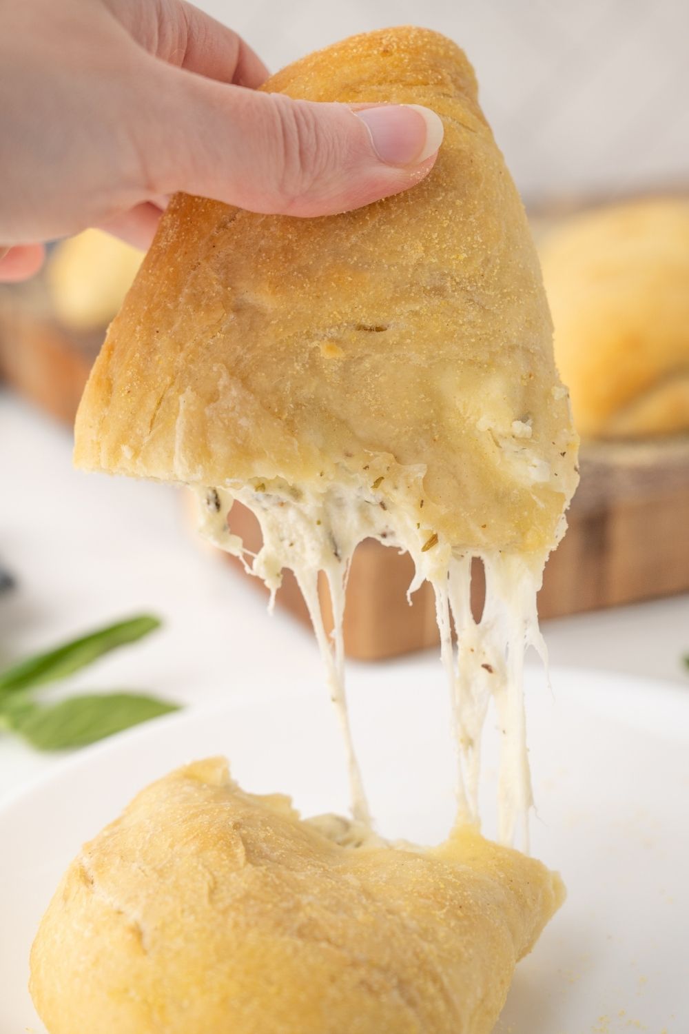 Cheese Calzone