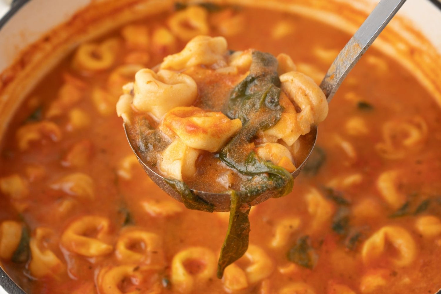 Tortellini Soup