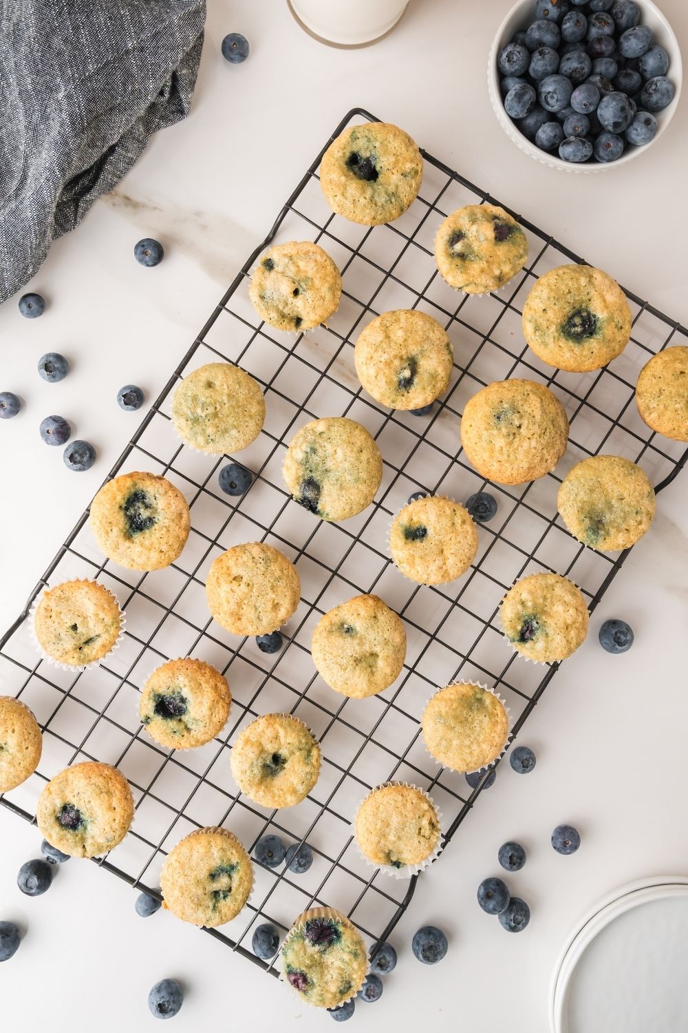 Mini Blueberry Muffins