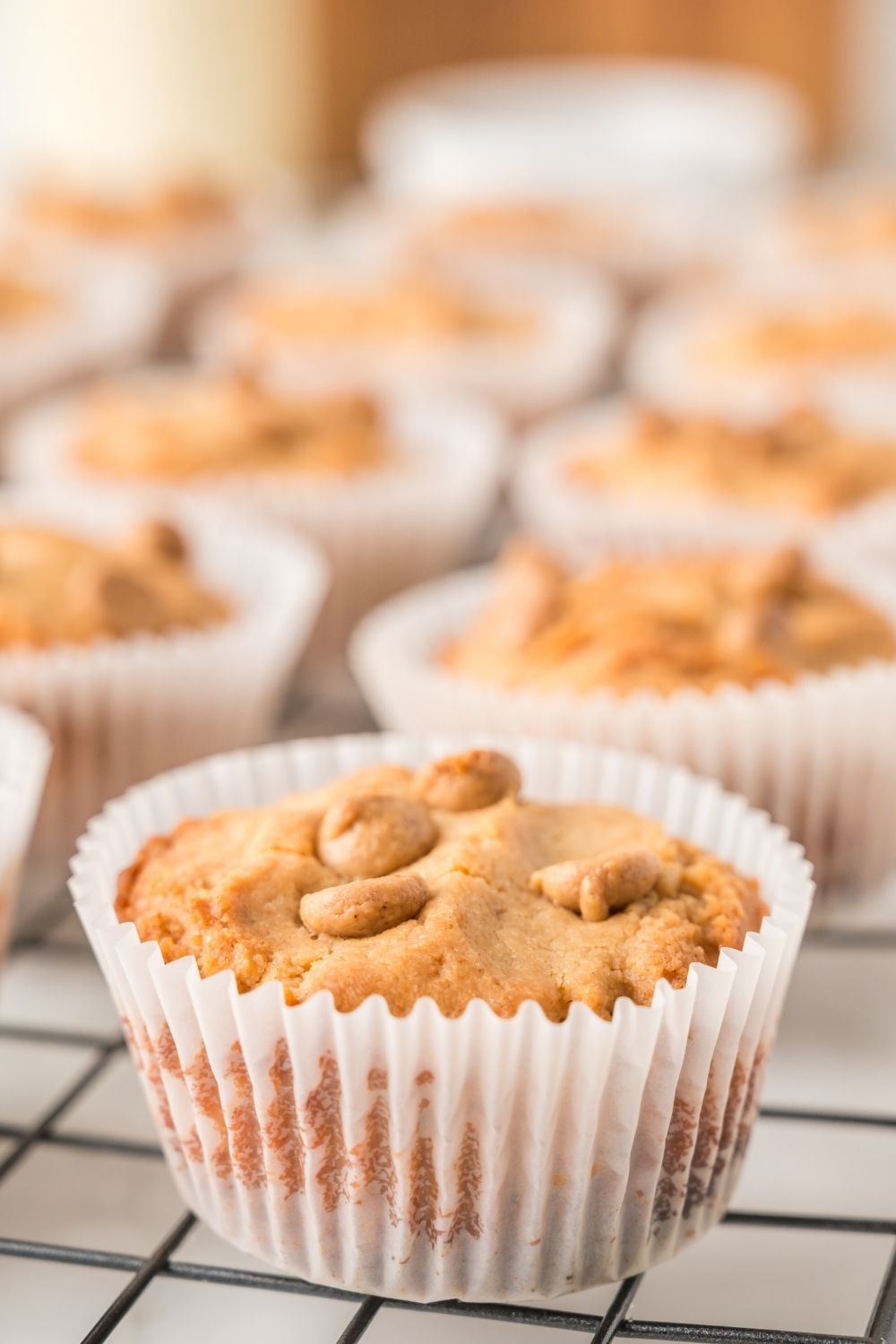 Peanut Butter Muffins