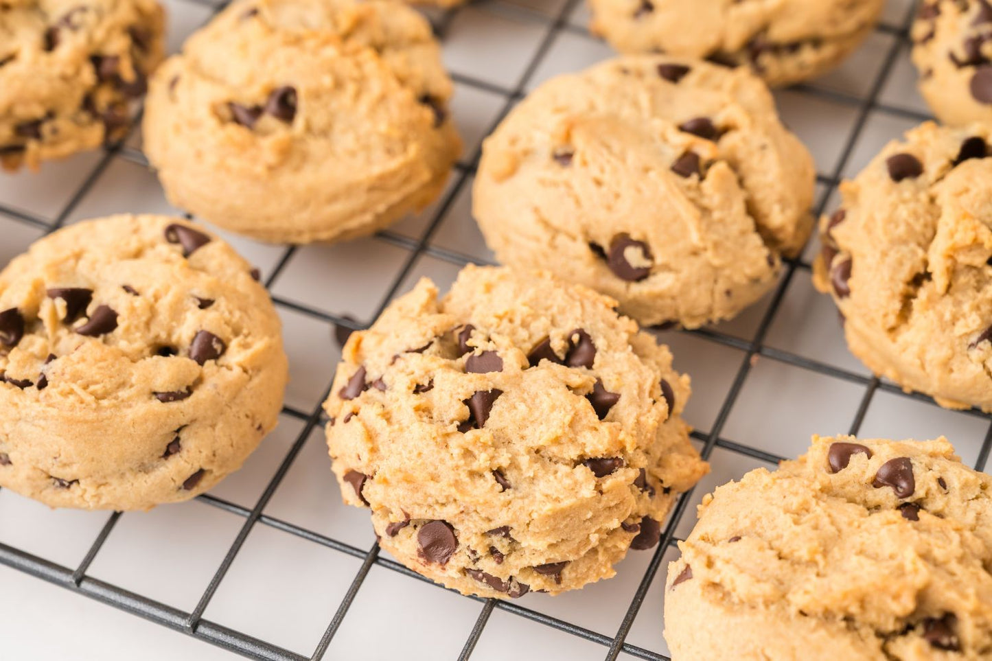 Peanut Butter Chocolate Chip Cookies
