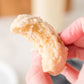 Shortbread Cookies