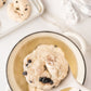 Blueberry Bagels