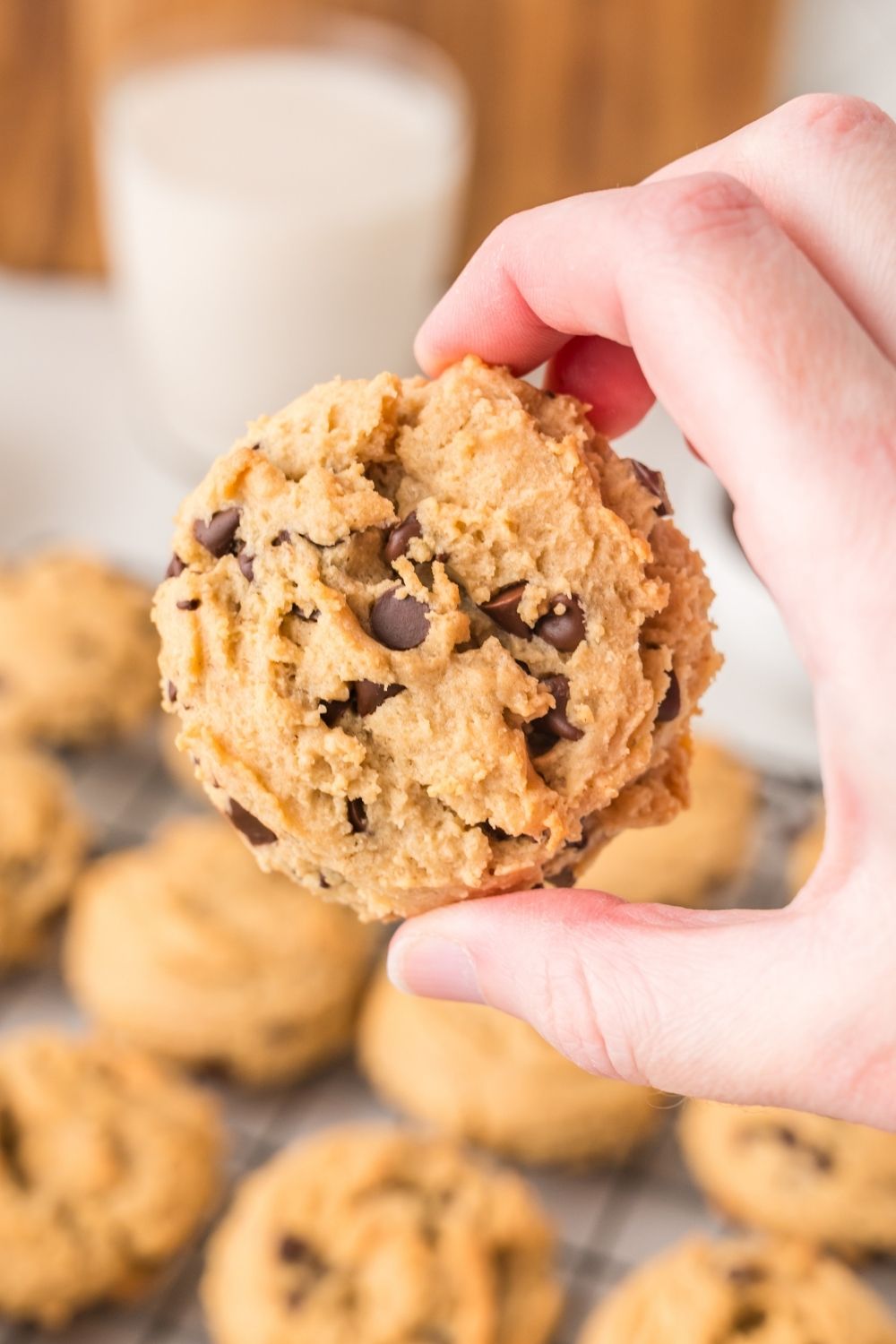 Peanut Butter Chocolate Chip Cookies