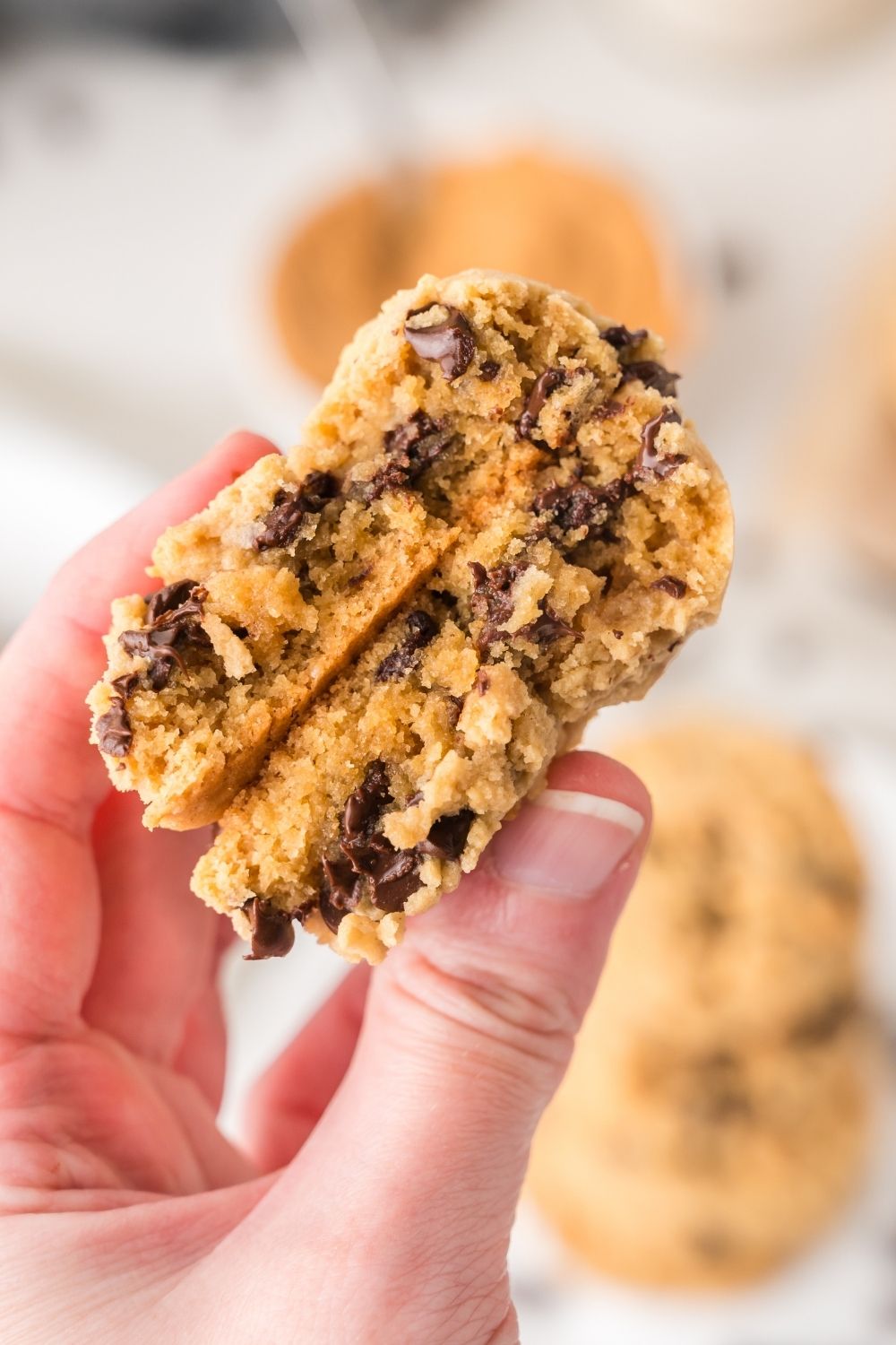Peanut Butter Chocolate Chip Cookies