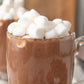 Instant Pot Hot Chocolate
