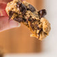 Oatmeal Chocolate Chip Cookies