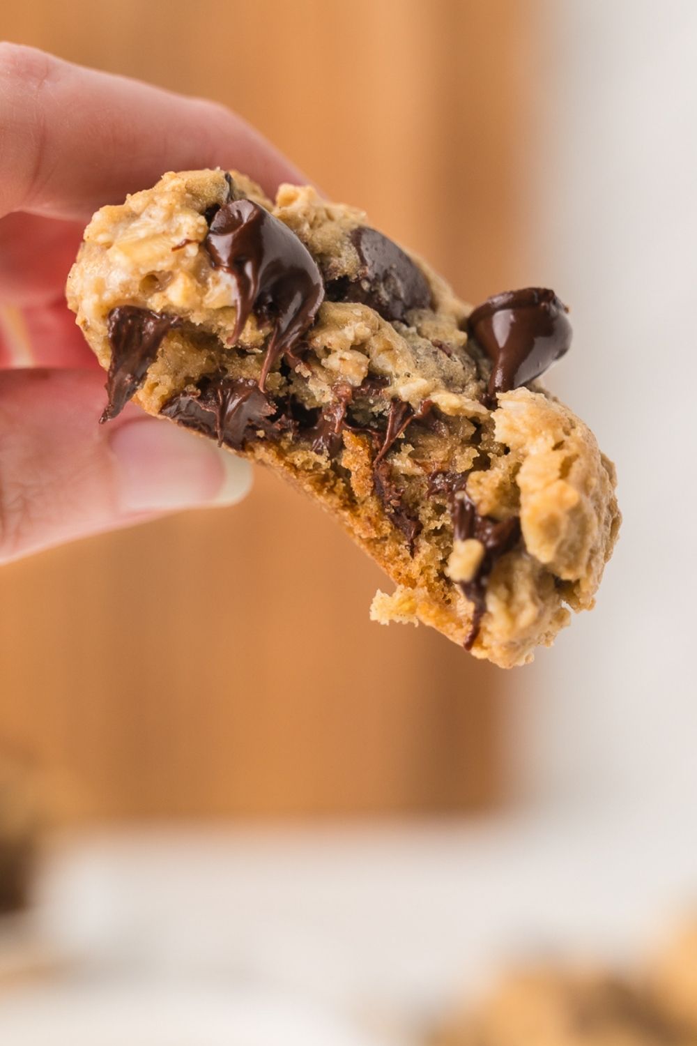 Oatmeal Chocolate Chip Cookies