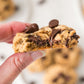 Oatmeal Chocolate Chip Cookies