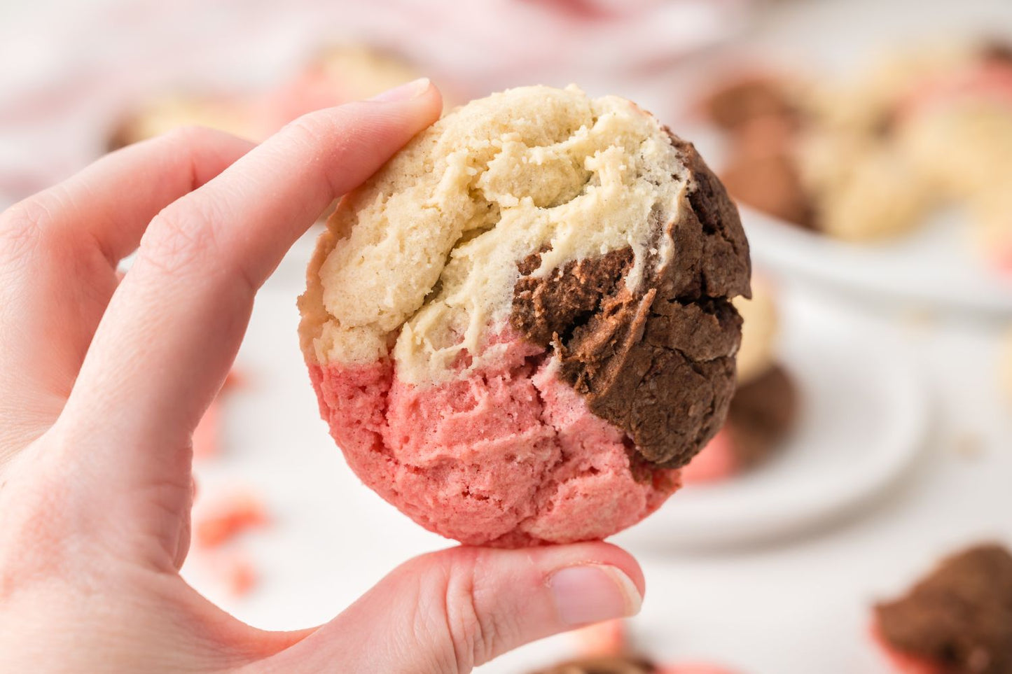 Neapolitan Cookies
