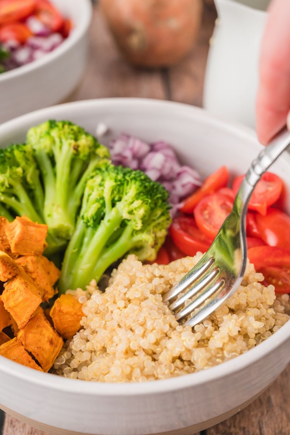 Quinoa Bowl- set 1
