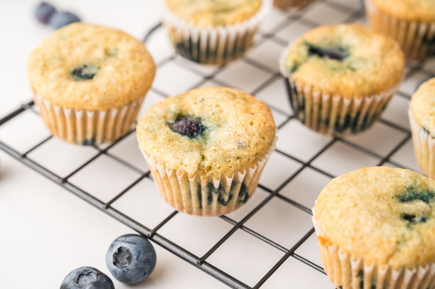 Mini Blueberry Muffins