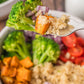 Quinoa Bowl- set 1
