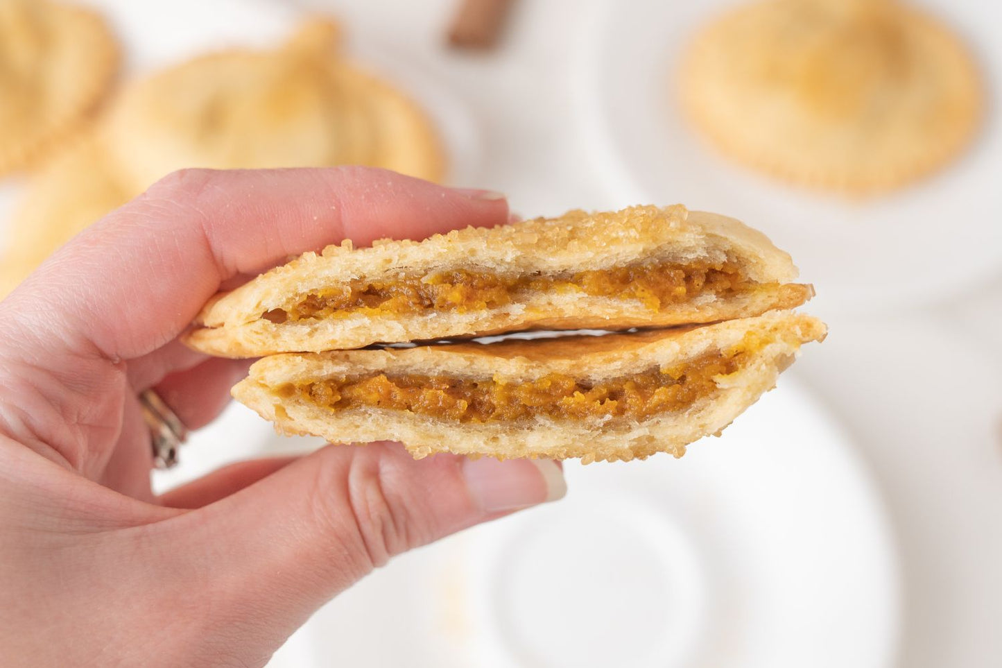 Pumpkin Hand Pies