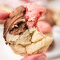 Neapolitan Cookies