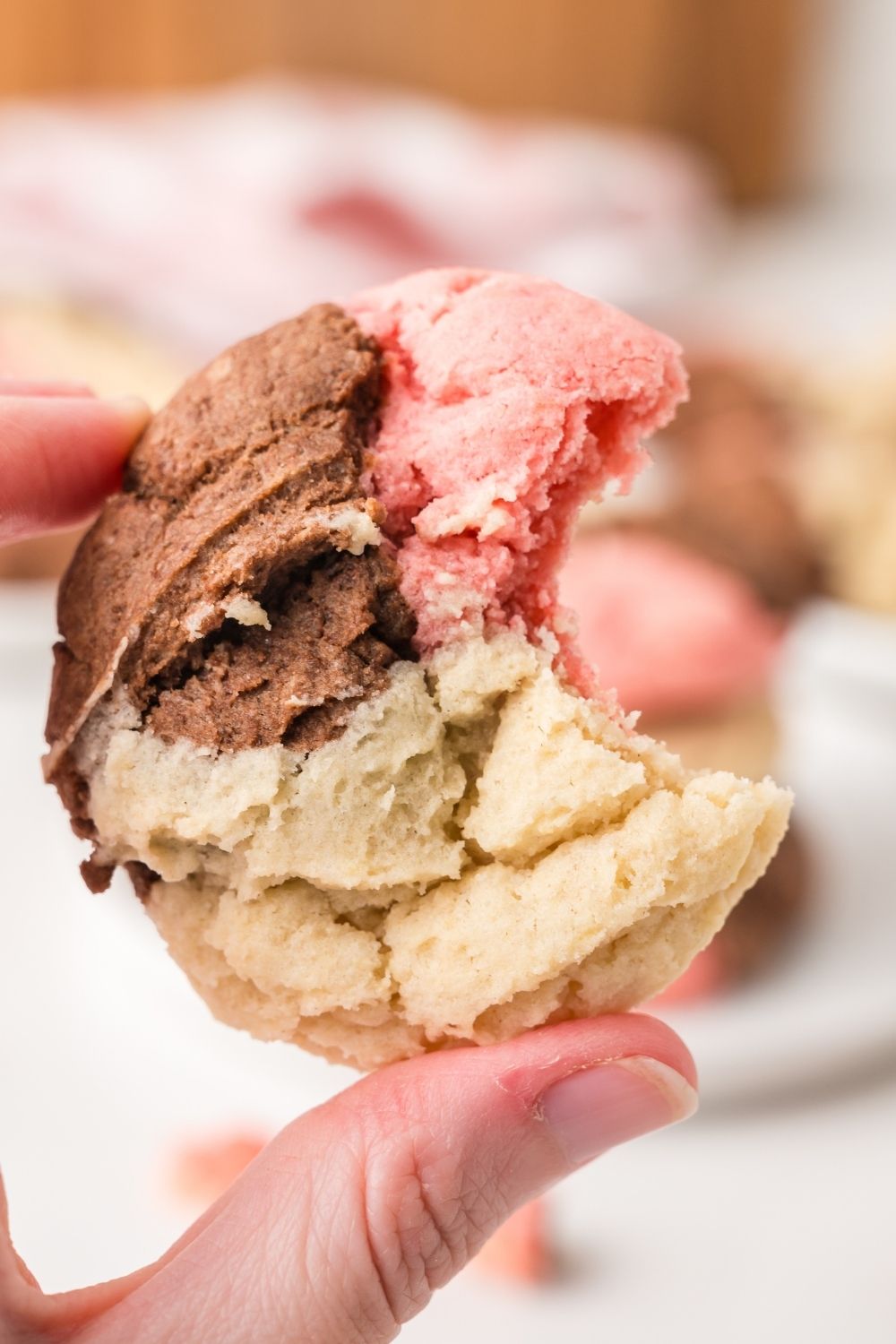 Neapolitan Cookies