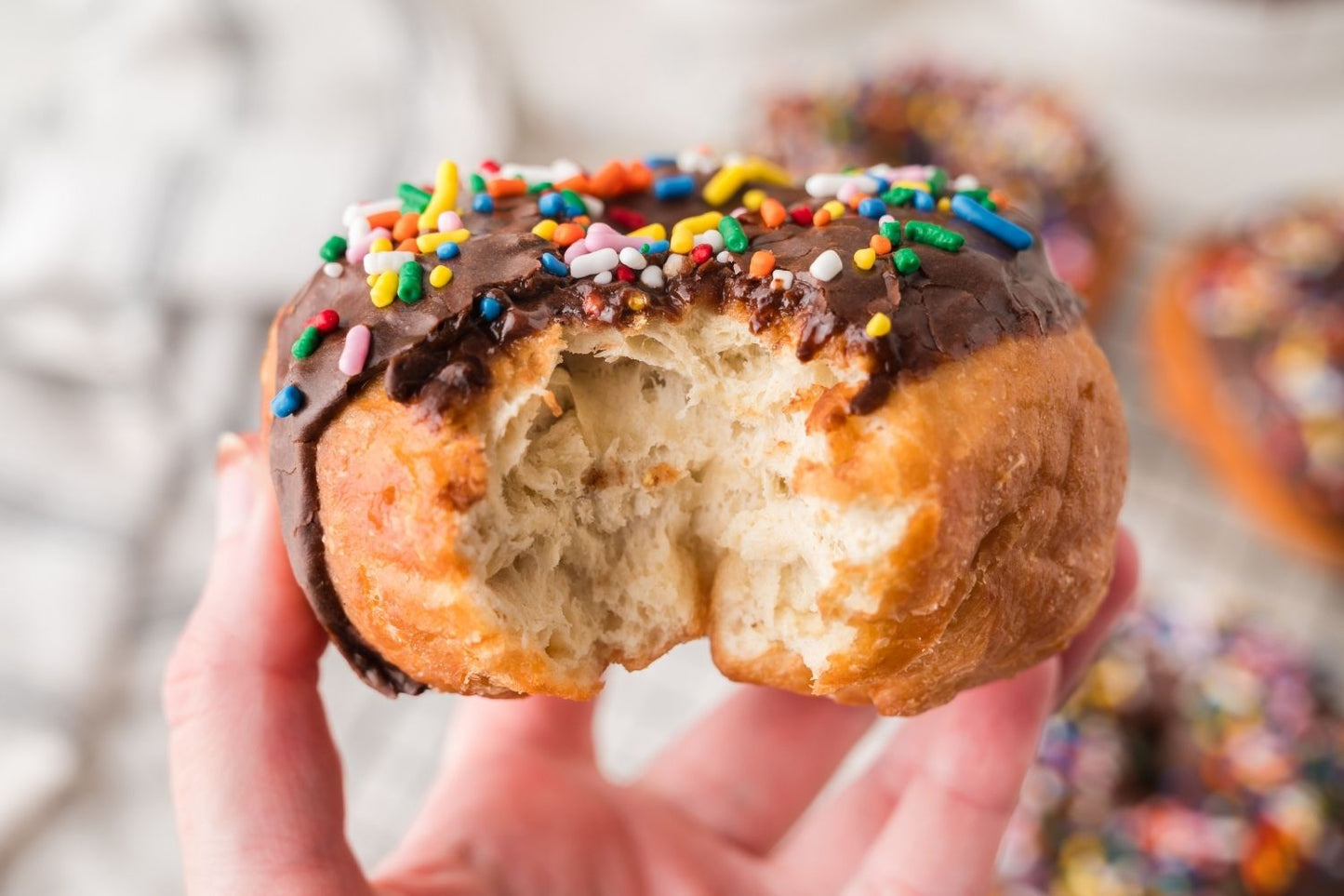 Chocolate Frosted Donut