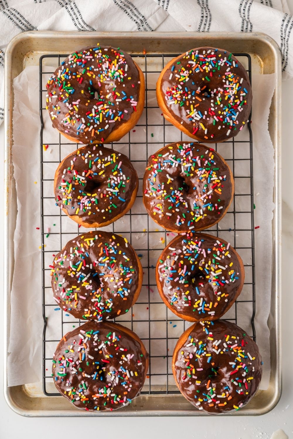 Chocolate Frosted Donut