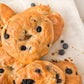 Blueberry Bagels