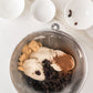 Cinnamon Raisin Bagels