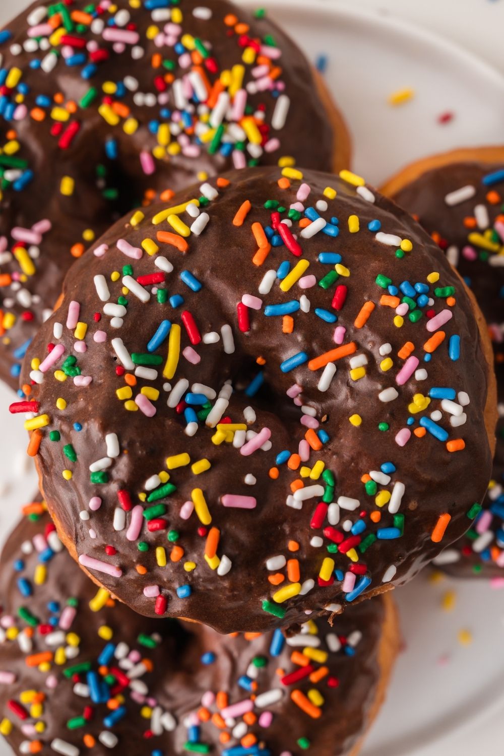 Chocolate Frosted Donut