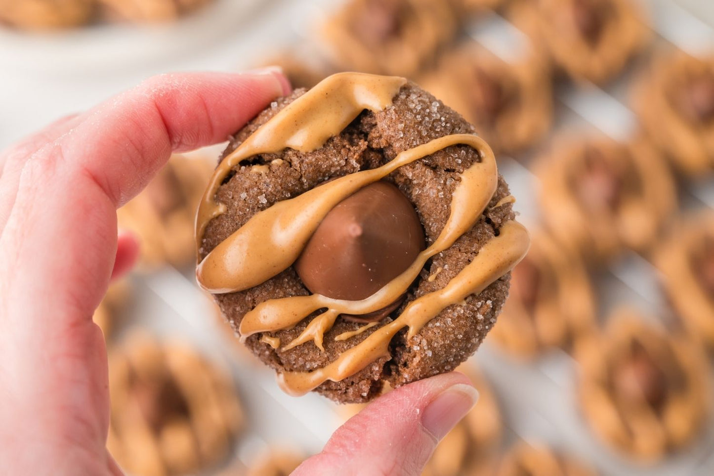 Chocolate Peanut Butter Blossoms