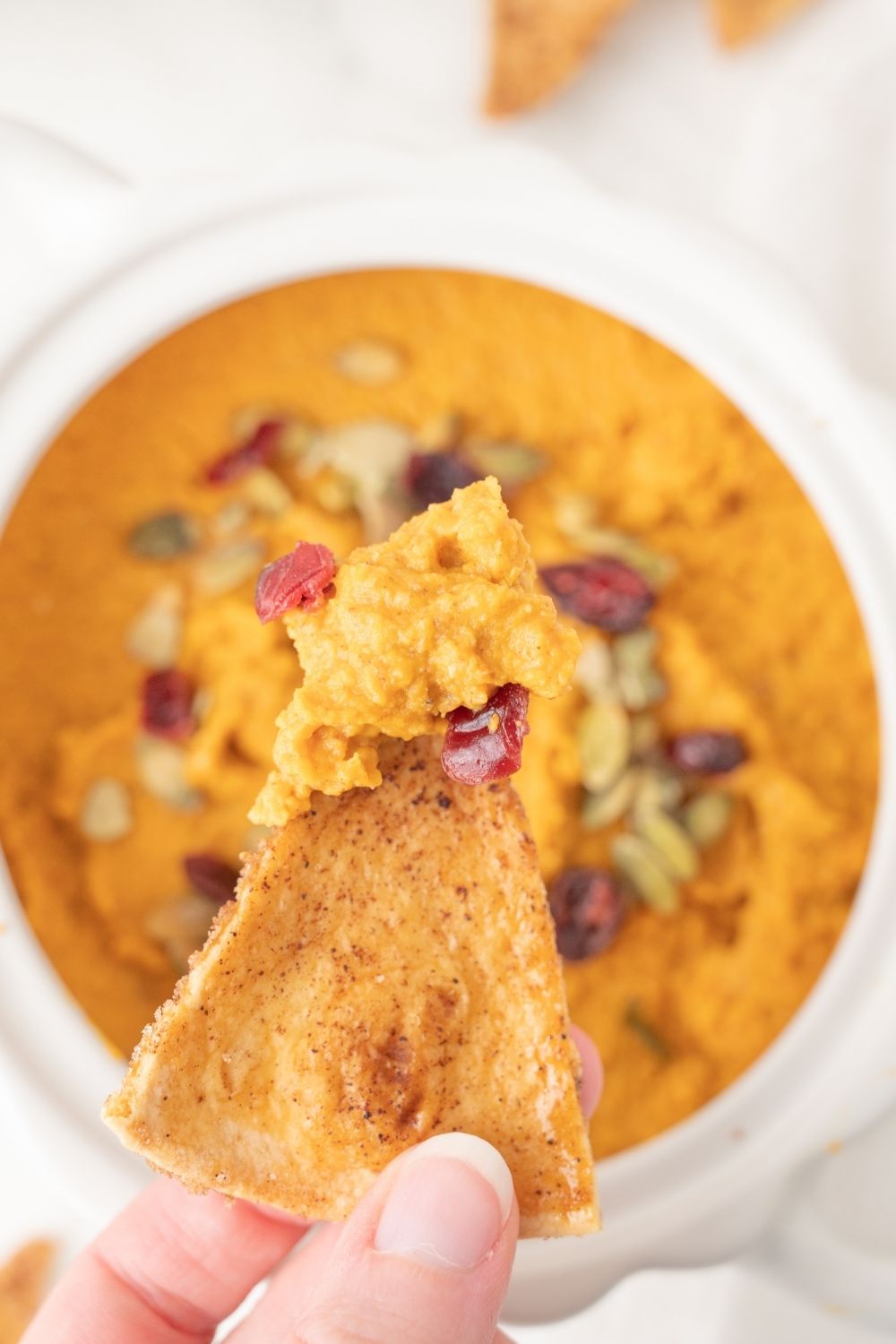 Pumpkin Hummus - set 2