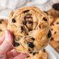 Cinnamon Raisin Bagels