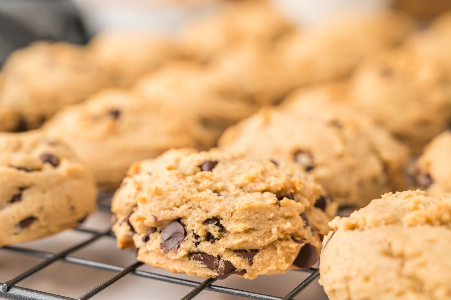 Peanut Butter Chocolate Chip Cookies