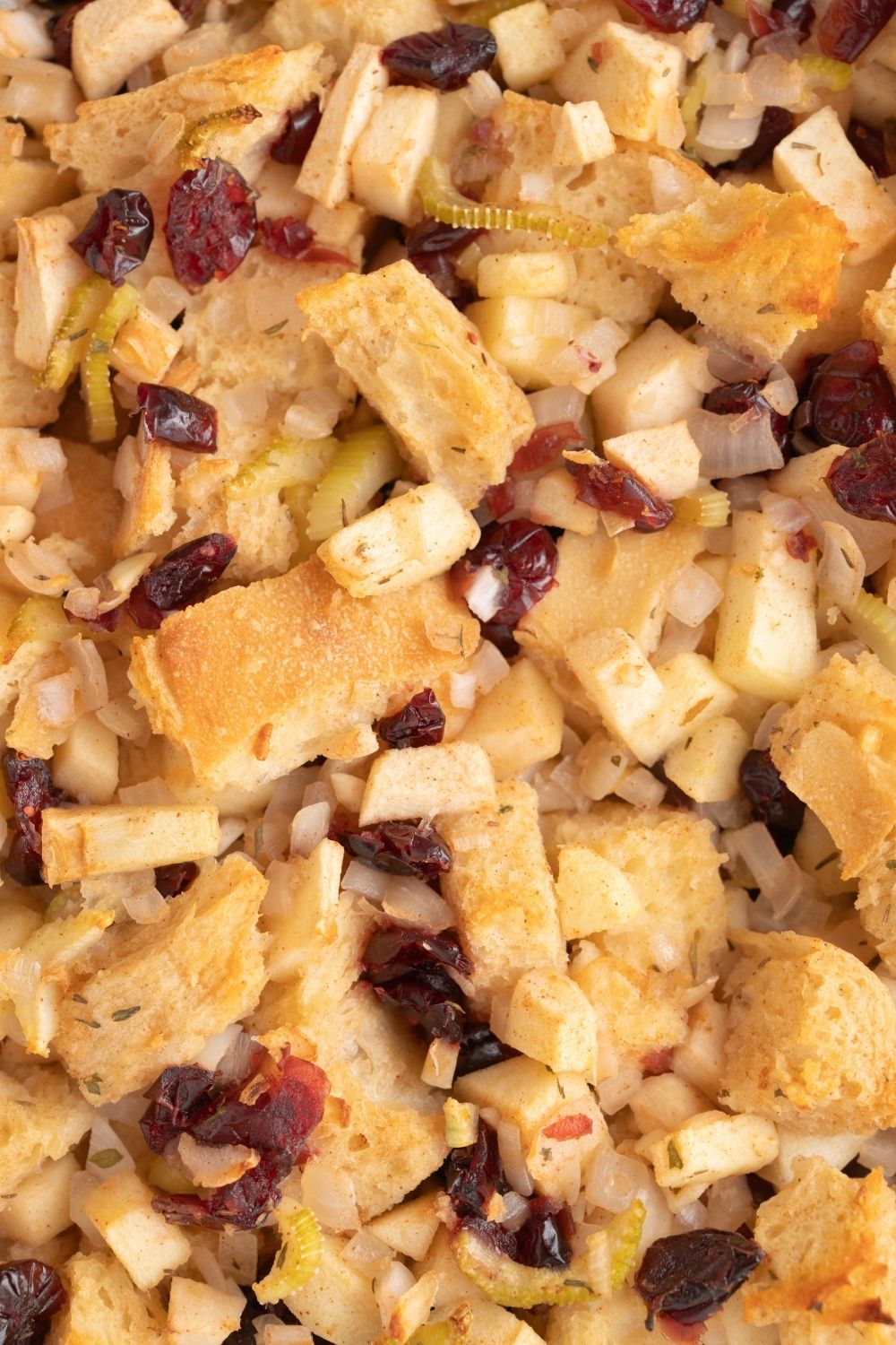 Apple Cranberry Stuffing - set 2