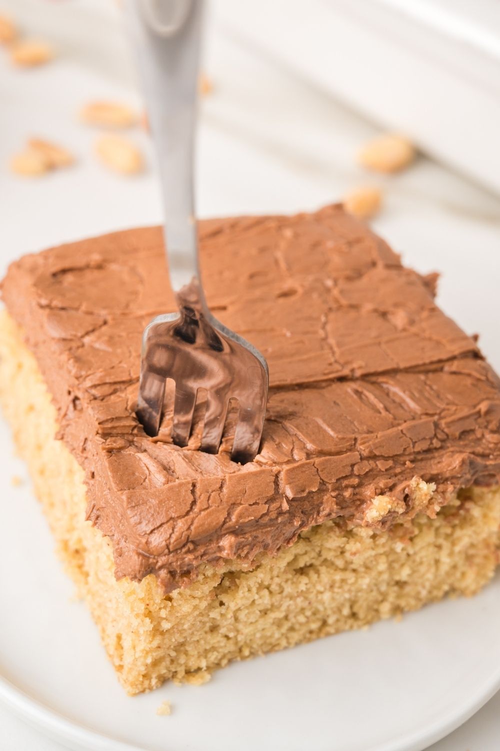 Peanut Butter Sheet Cake