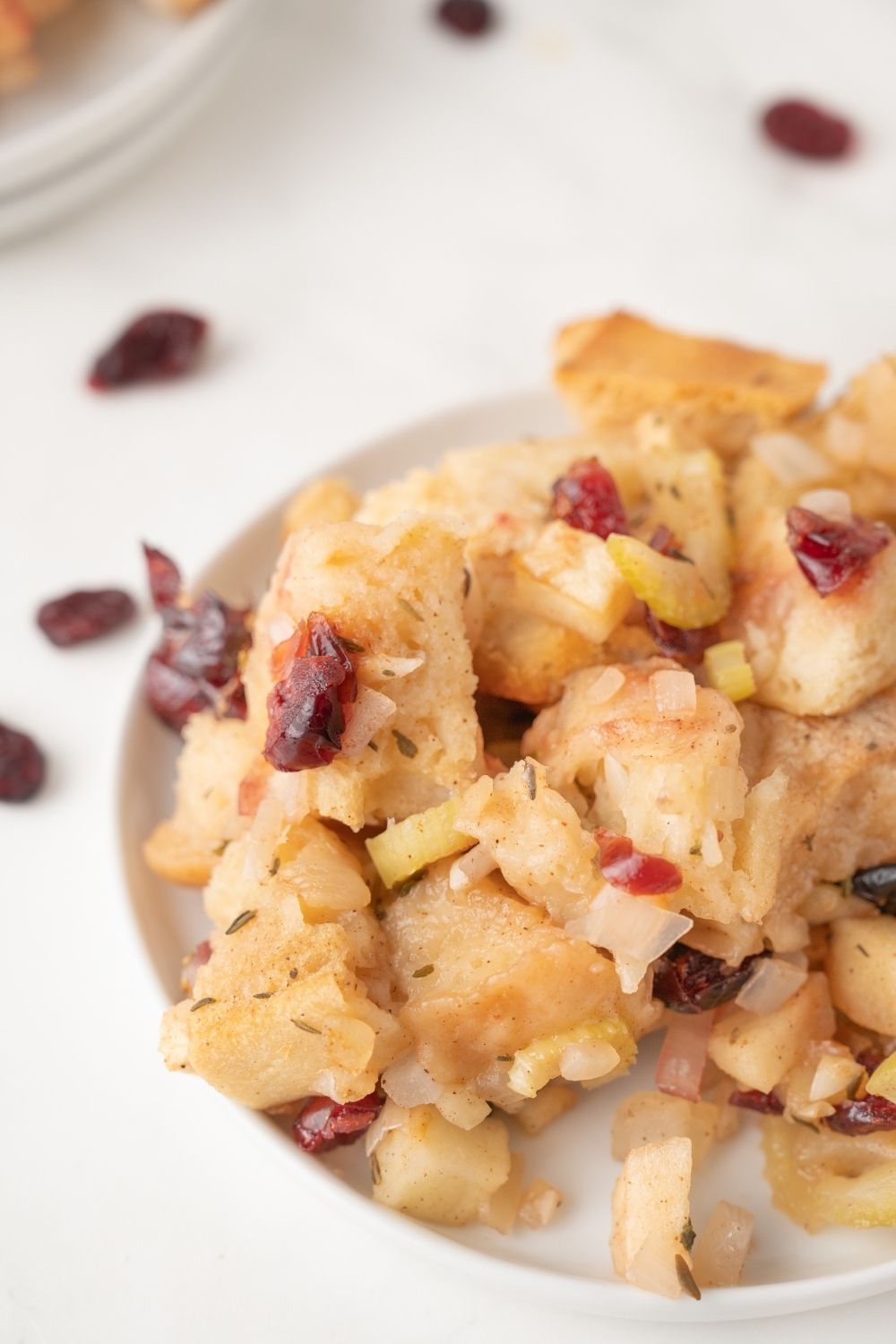 Apple Cranberry Stuffing - set 2