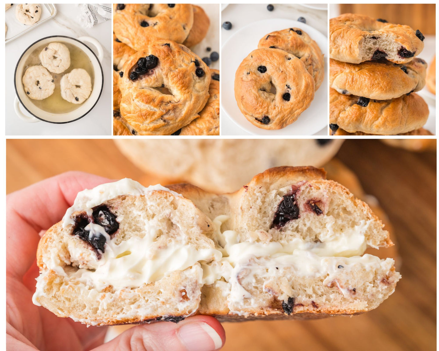 Blueberry Bagels