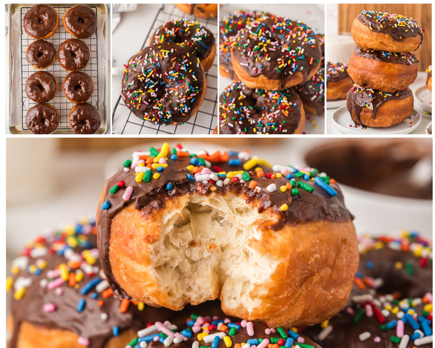 Chocolate Frosted Donut